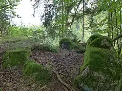 Hochburgplateau. Granitfelsen