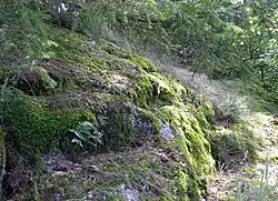 Hochburgplateau. Eingestemmte „Stufen“