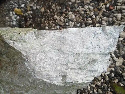 Zerschertes leukokratisches Ganggestein, die Scherflächen werden von hell olivgrünem Epidot besetzt, welcher den S-C-Charakter unterstreicht (links oben)