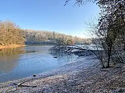 Neyetalsperre – im Winter Rastquartier für Zugvögel