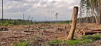 Blick vom Nickel im Taunuskamm nach Norden in die Idsteiner Senke.