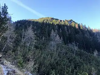 Niederer Fricken vom Frickenkar