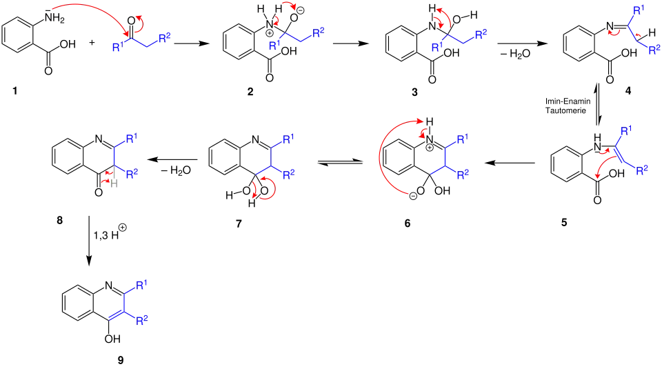 Niementowski-chinolin-Synthese Reaktionsmechanismus