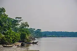 Nijhum-Dwip-Nationalpark