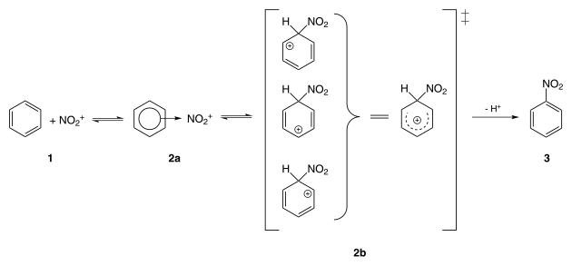 Reaktionsmechanismus der Nitrierung des Benzols