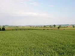 Im Nördlinger Ries, Blick nach Osten auf den Kraterrand