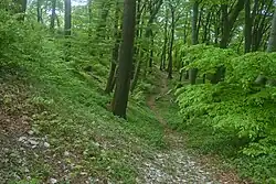 Nordwall der Löwenburg