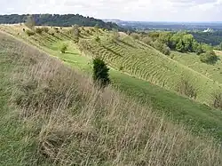 Das Hillfort