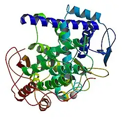 Nukleoprotein des Influenzavirus A