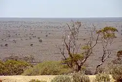 Nullarbor