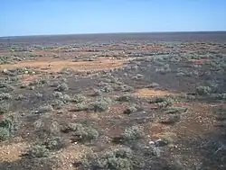 Nullarbor-Ebene vom Indian Pacific aus gesehen (2005)