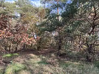 Teerutenberg bei Nunsdorf