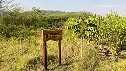 Auf einer mit Gras, Büschen und Bäumen bewachsenen Fläche steht ein Holzschild mit der Aufschrift "Medicinal Garden".