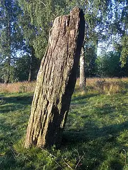 Bautastein auf Nycklabacken