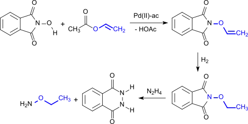Darstellung von O-Alkoxyaminen via N-Hydroxyphthalimid