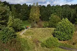 Unterschiedliche Landschaftstypen im Ober-Olmer Wald