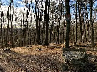 Dachsberg mit Teufelsstein