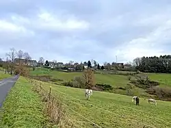 Oberdahl aus südl. Richtung