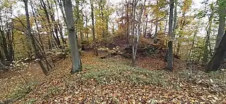 Talblick auf den Nordteil, links der Hohlweg (alte Weg)