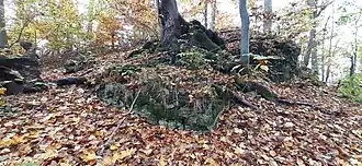 Ausgearbeitete Nordostecke des nördlichen Burgteils