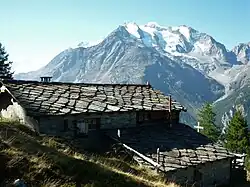 Obere Schwarze Wald mit&nbsp;Balfrin.