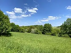 Abwechslungsreiche Landschaftsstruktur im NSG