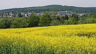 Buchwaldskopf (halblinks) über Oberjosbach von Südosten (unterhalb Hammersberg bzw. Küppel (Ehlhalten); in der Mitte der Gipfel des Hauptberges Nickel)