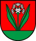 Bärlauch