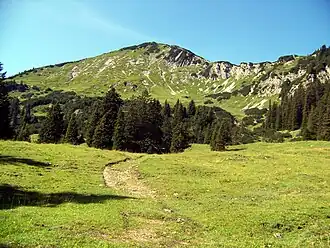 Ochsenälpeleskopf Ostseite (von der Hirschwängalm aus)