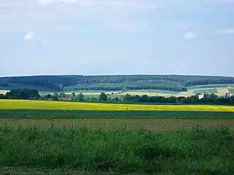 Der Oderwald mit Bereich des Hungerbergs von Osten mit Hedwigsburger Okermühle (rechts) bei Ohrum