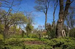 Botanischer Garten Odessa