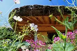 Blumengarten mit Sicht unter ein Dach