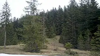 Oeder Kogel vom Sattel zum Ostiner Berg von Süden