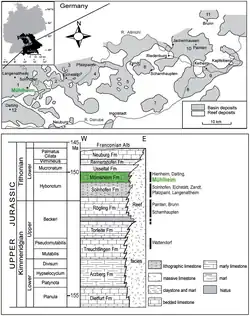 Karte der südöstlichen Frankenalb und geologisches Horizontschema