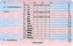 Contemporary Greek drivers licence - back - specimen