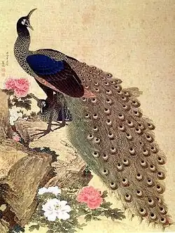 Rosetsu: Pfau