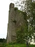 Ruine von Ballyroan