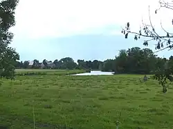 Ollen West (heute flussaufwärts gesehen) kurz vor Berne