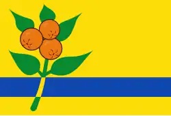 Flagge des Ortes Oranjewoud