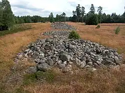 Rösen auf Orraryds gravfält