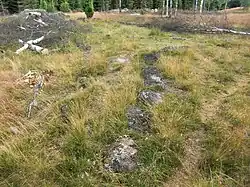 Treudd auf Orraryds gravfält