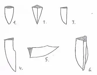 Ortformen: 1. Mittelspitze 2. Mittelspitze, aber bezeichnet als Karpfenzungenspitze 3. Grootspitze 4. Grootspitze mit Jelman 5. Pandurenspitze 6. Steckrückenspitze mit Schör