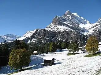 Ortstock von Braunwald aus; der höchste Gipfel ist die rundliche Kuppe rechts der spitzen Vorgipfel.