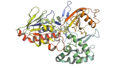 Pflanzliche Phytoen Desaturase