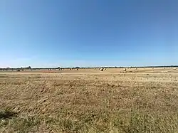 Landwirtschaftliche Flächen