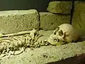 Gebeine des Otto von Linn (12.–13. Jh.)