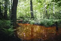 Ottoquelle bei Magdeburgerforth