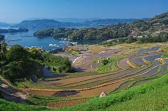 Oura Reisterrassen und Imari-Bucht