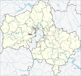 Moskau-Domodedowo (Oblast Moskau)