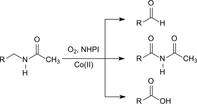 Oxidation von Amiden mit N-Hydroxyphthalimid